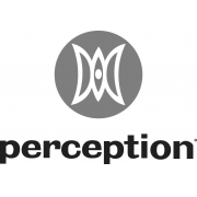 Perception